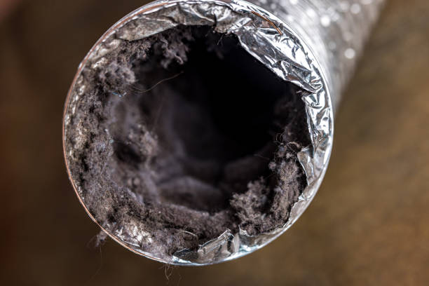 Reliable Lochsloy, WA Airduct Cleaning Solutions